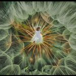 Wewnętrzne dziecko – co to właściwie znaczy?